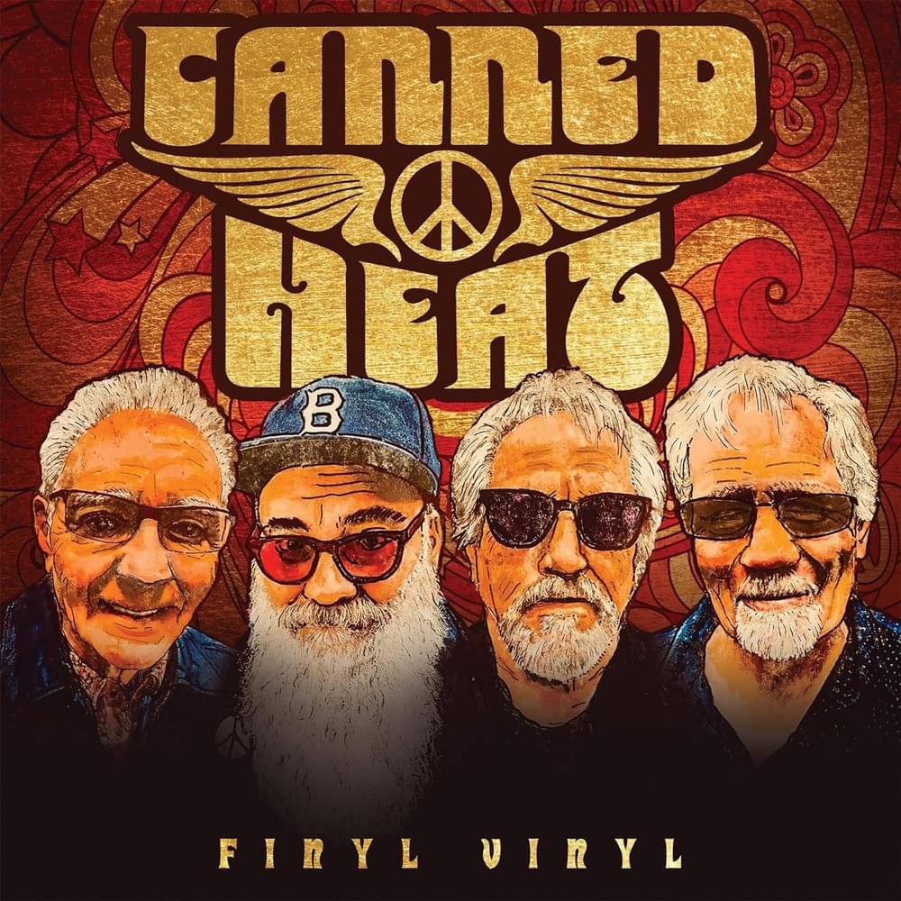Cover image for Finyl