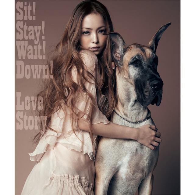 Cover image for Sit! Stay! Wait! Down! / Love Story