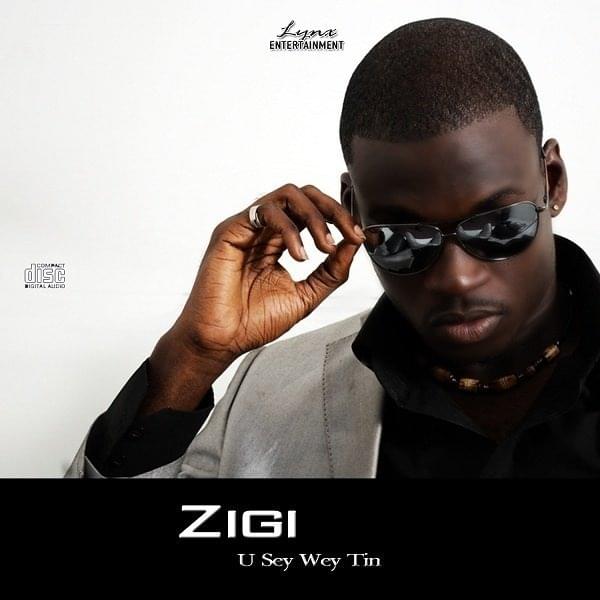 Album cover art for "U Sey Wey Tin" by Zigi