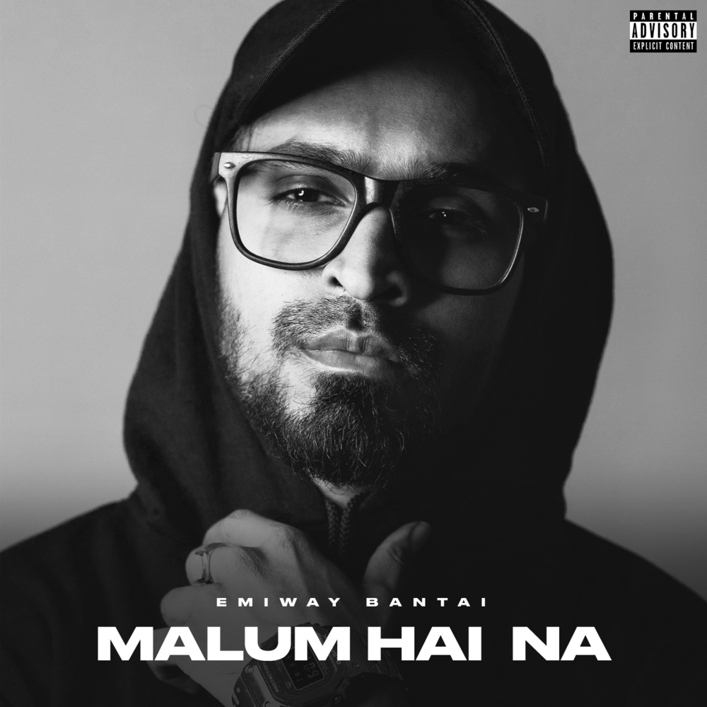 Cover image for Malum Hai Na