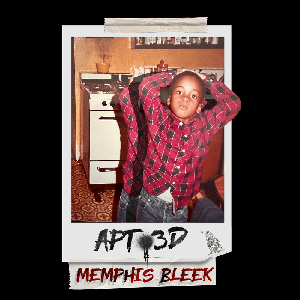 Cover image for Apt 3D