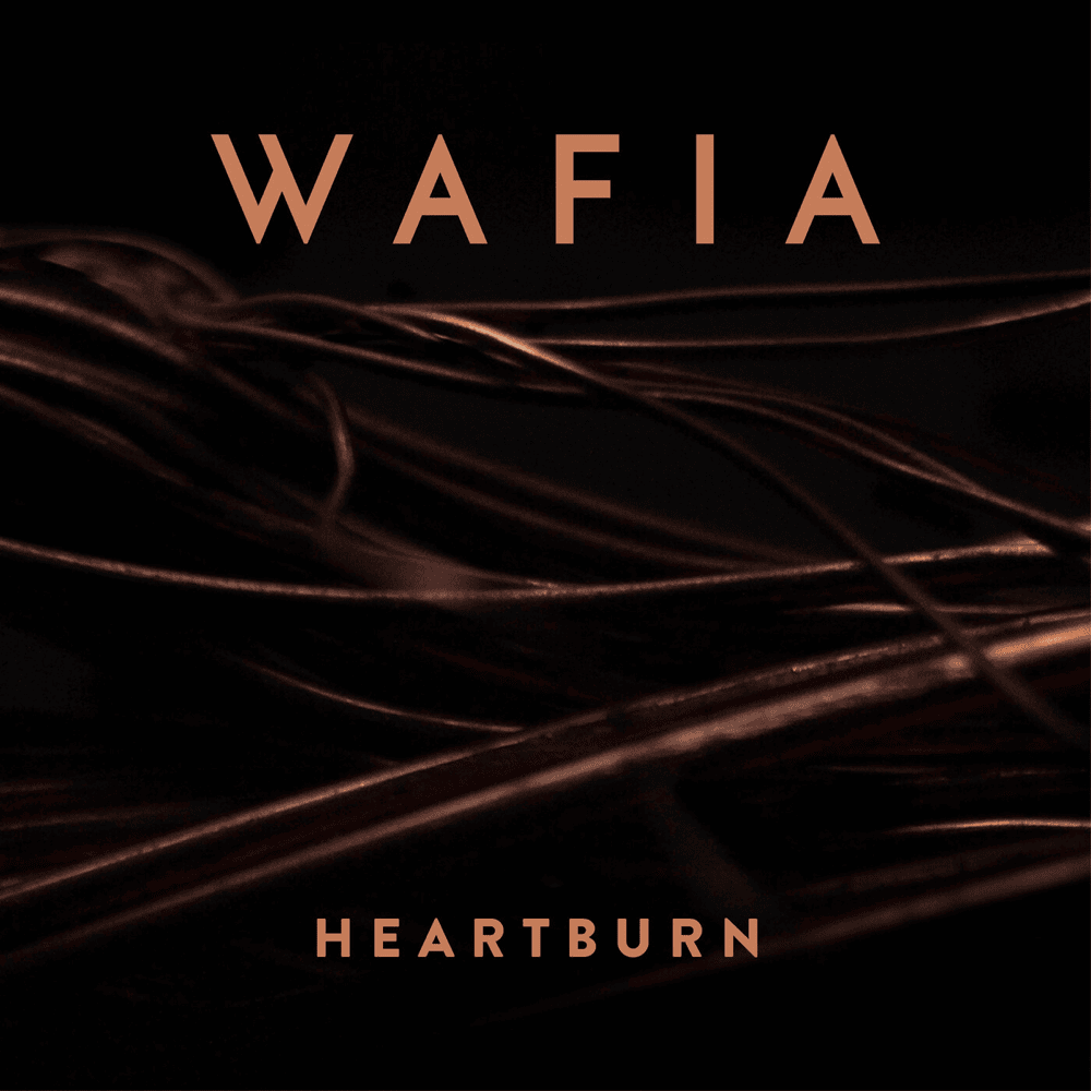 Cover image for Heartburn (Remixes)