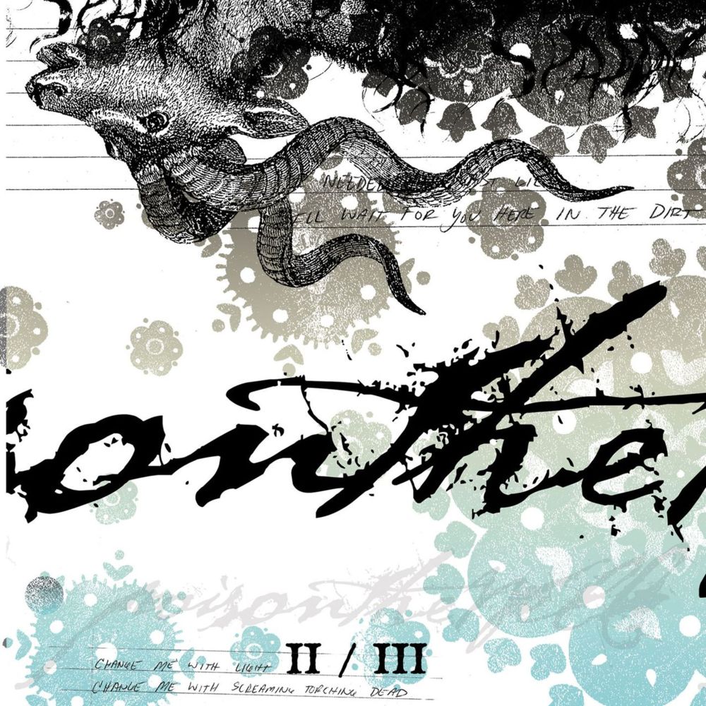 Cover image for II/III
