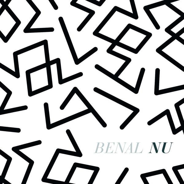 Cover image for Nu