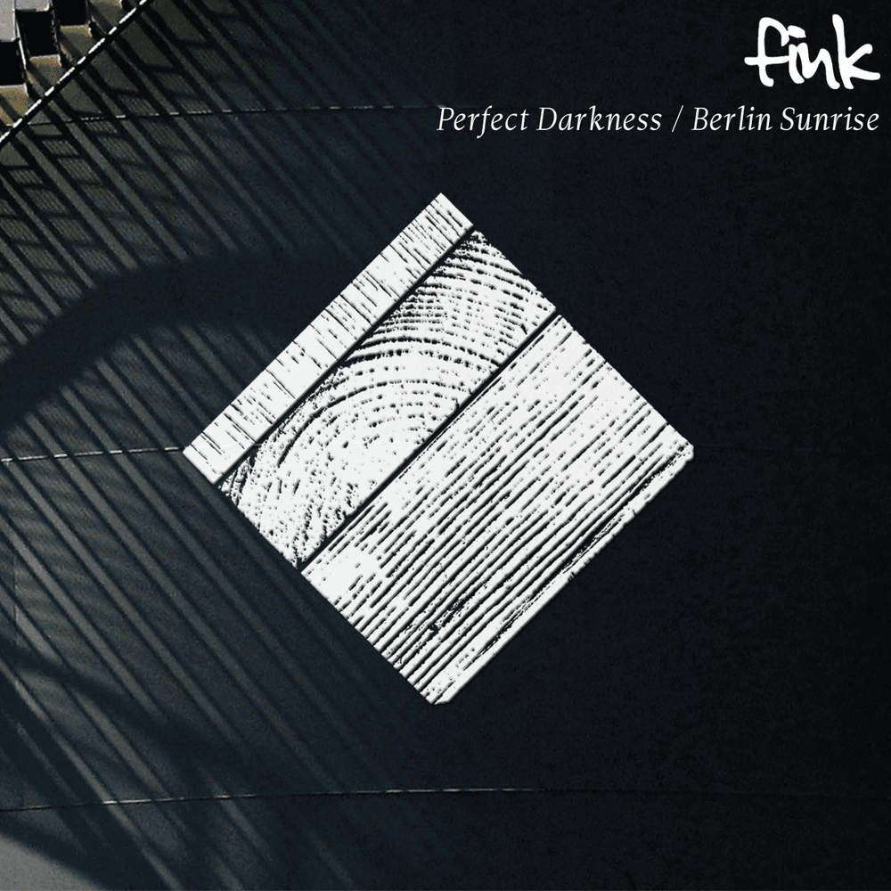 Perfect Darkness by Fink