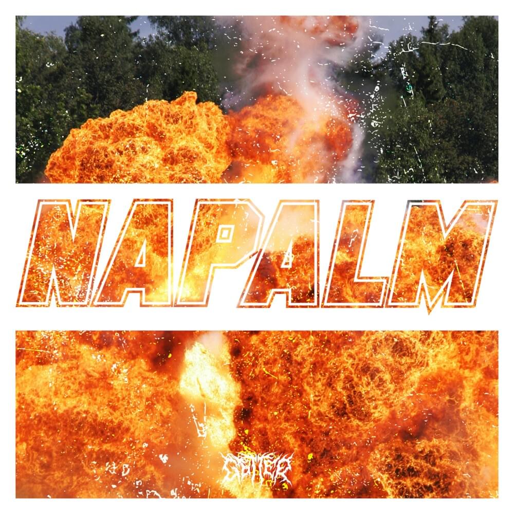 Cover image for NAPALM