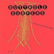 Who Was in My Room Last Night? by Butthole Surfers