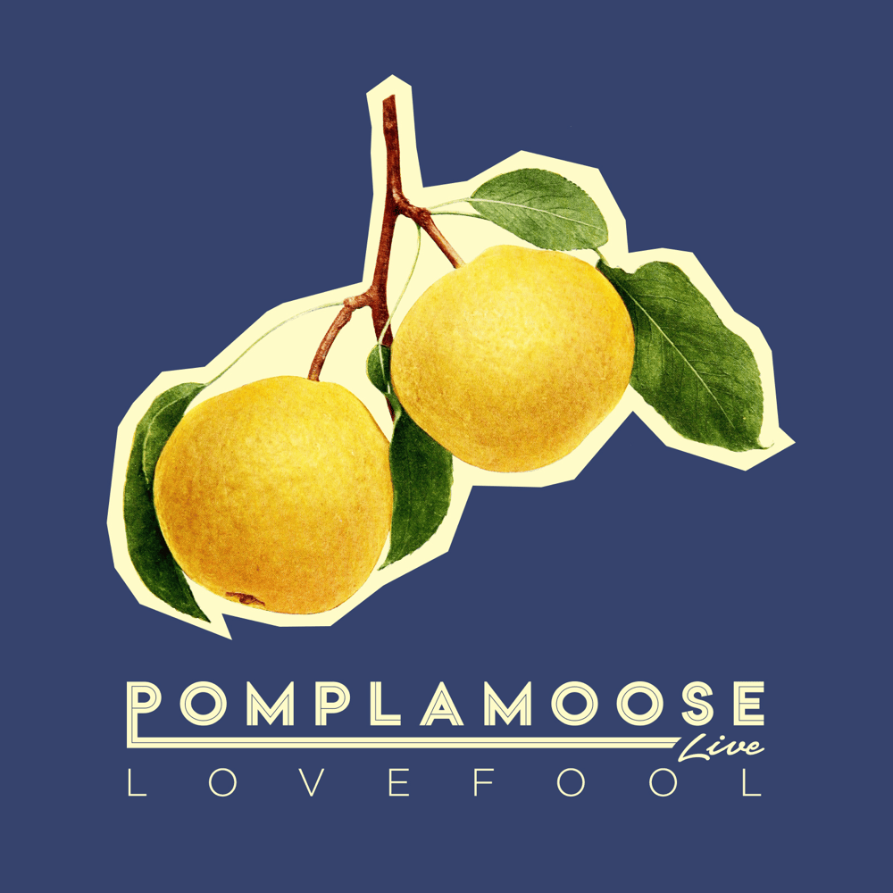 Album cover art for "Lovefool" by Pomplamoose