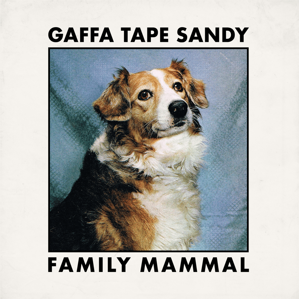 Kill the Chord by Gaffa Tape Sandy