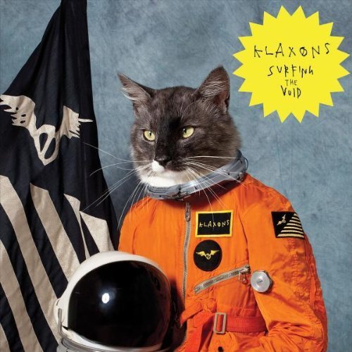 Cover image for Surfing the Void