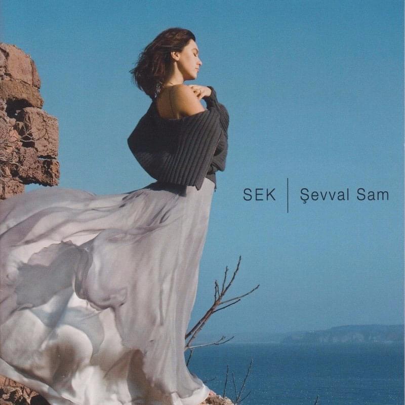 Bir Firtina Tuttu Bizi by Şevval Sam