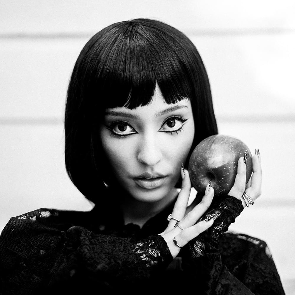 Cover image for FILM NOIR