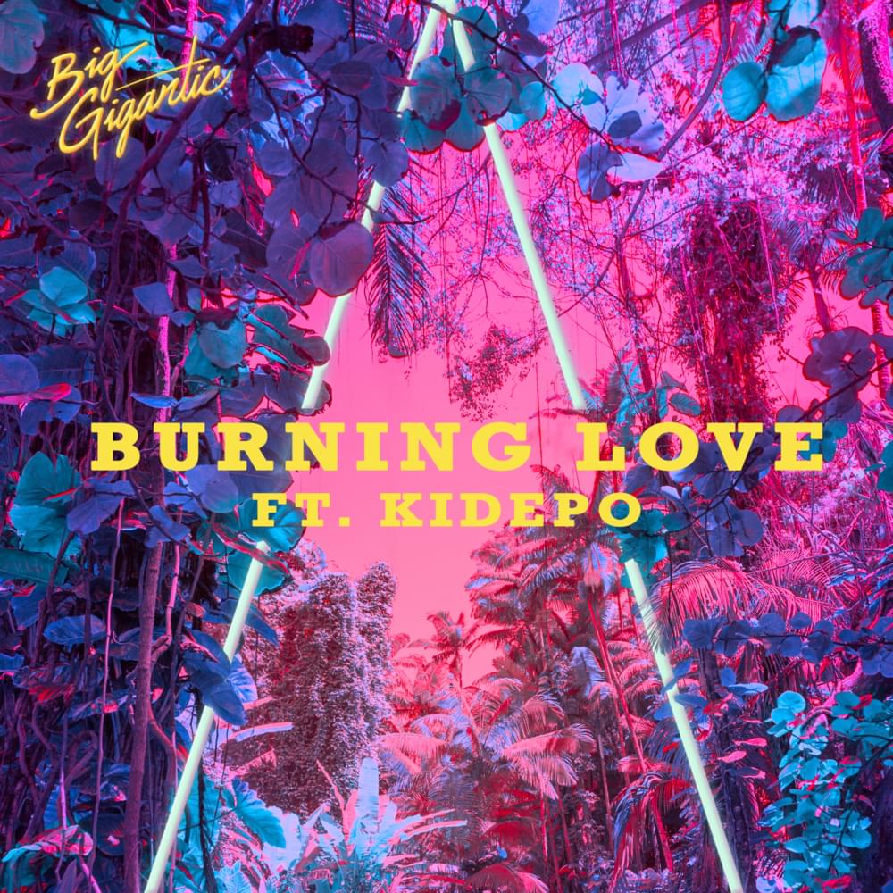 Album cover art for "Burning Love" by Big Gigantic & Kidepo