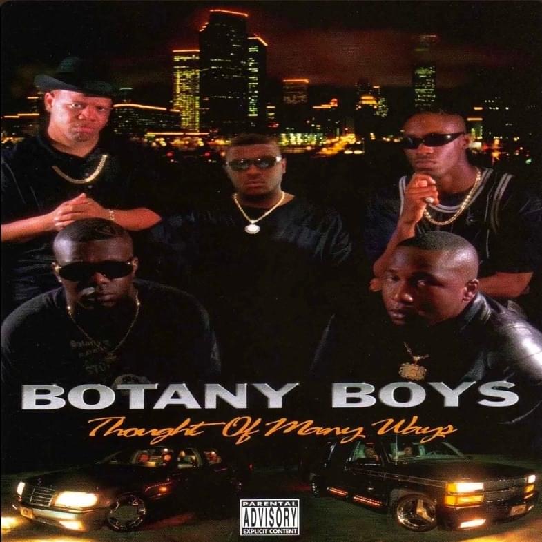 Tryin’ to Survive by Botany Boys