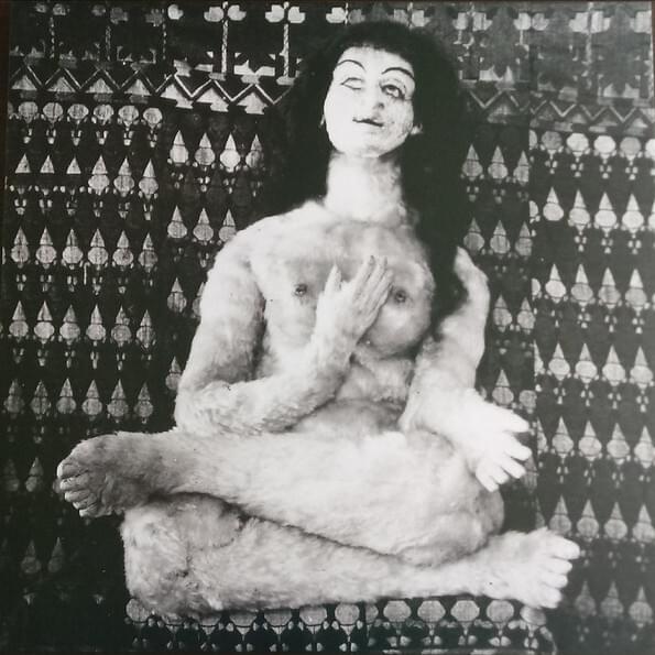Cover image for Alma