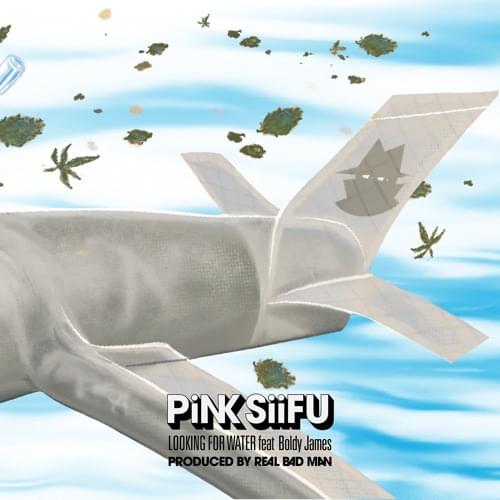Album cover art for "Looking For Water" by Pink Siifu & Boldy James