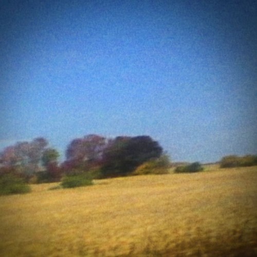 Cover image for Benji