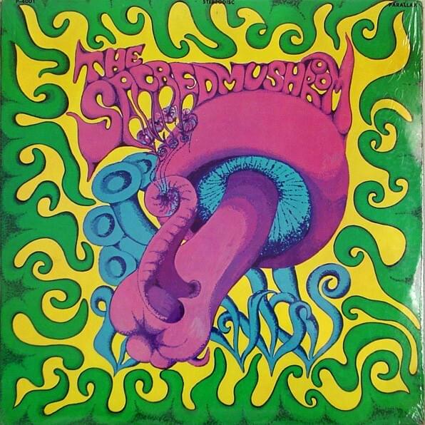 I Don’t Like You by The Sacred Mushrooms