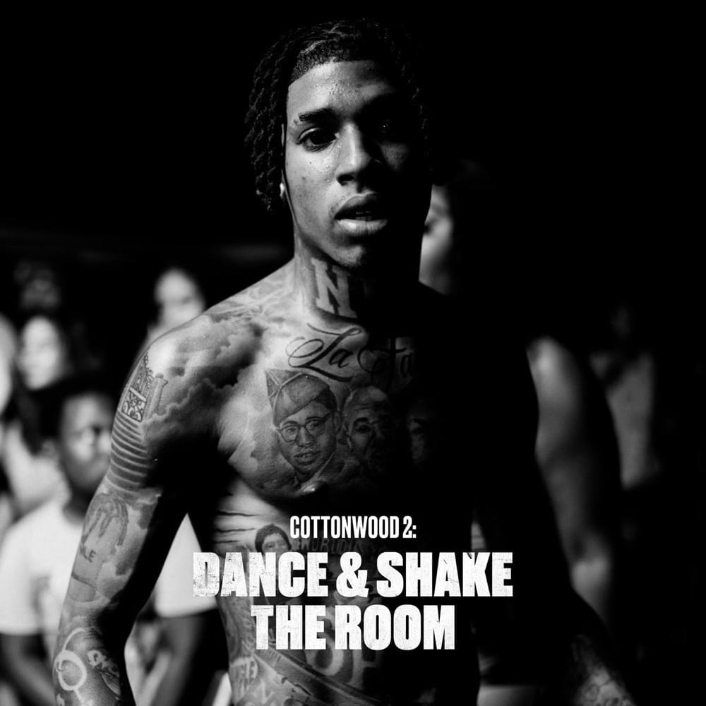 Cover image for Cottonwood 2: DANCE & SHAKE the ROOM
