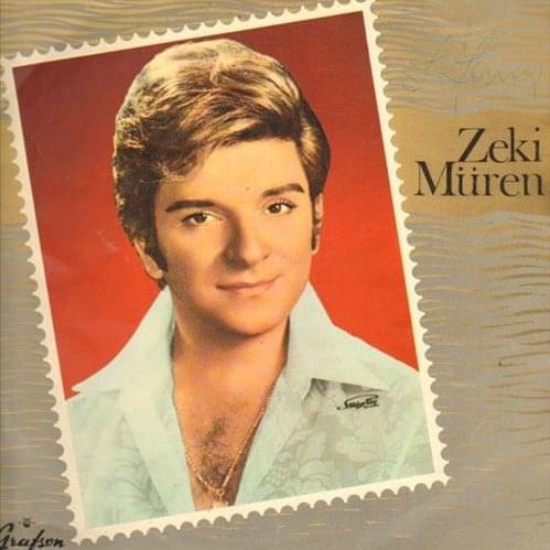 Cover image for Senede Bir Gün