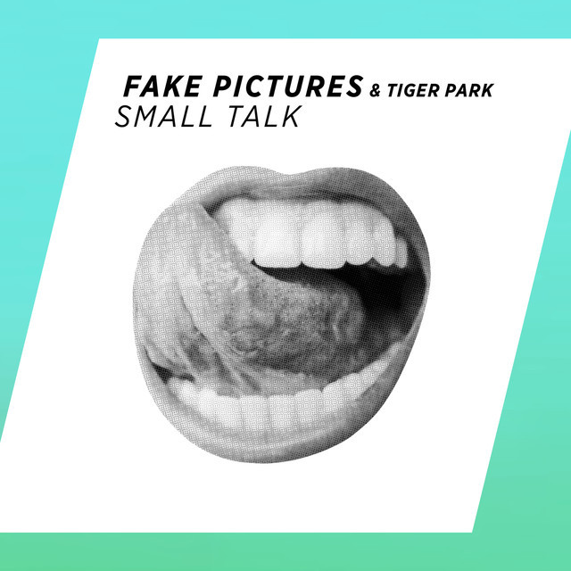 Album cover art for "Small Talk" by Fake Pictures & Tiger Park