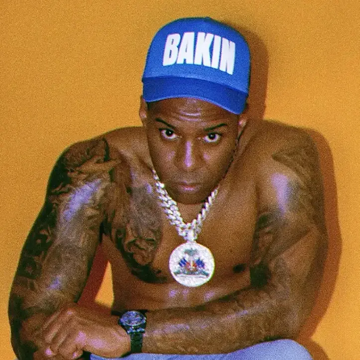Cover image for DJ Whoo Kid