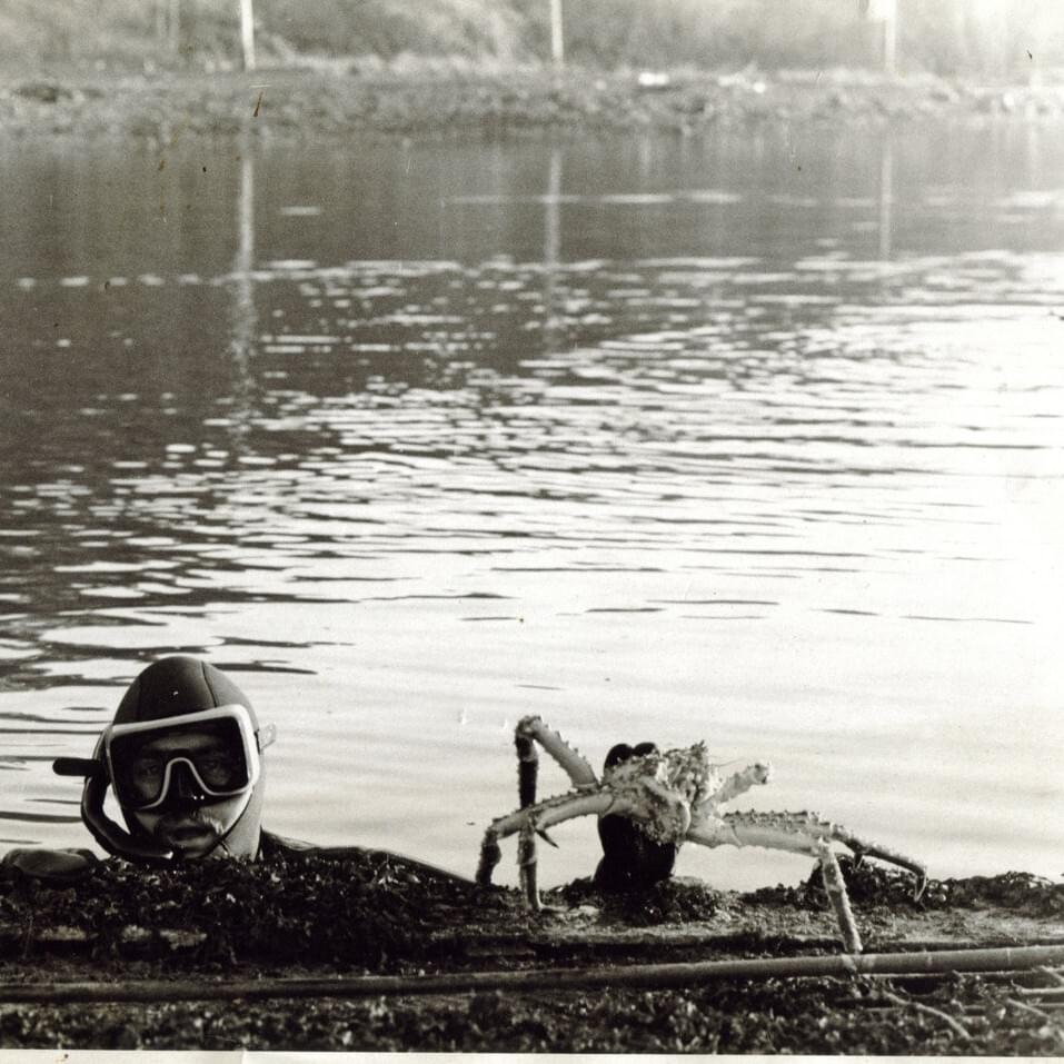 Cover image for Sinking Down
