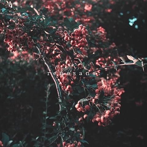 Film by Lelon
