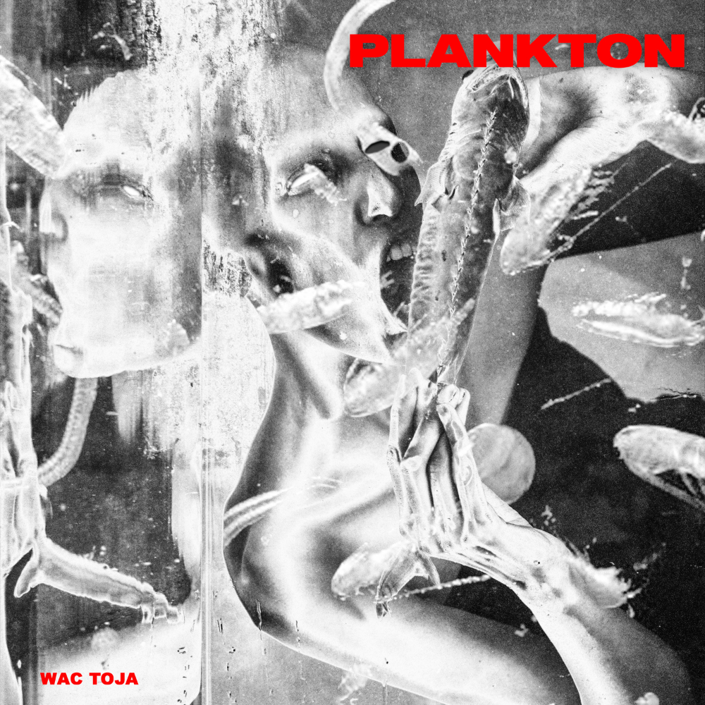 Album cover art for "Plankton" by Wac Toja