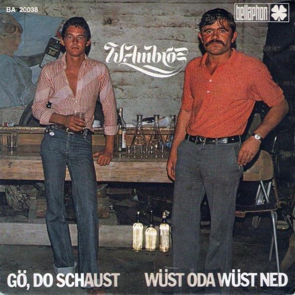 Album cover art for "Wüst oda wüst ned" by Wolfgang Ambros