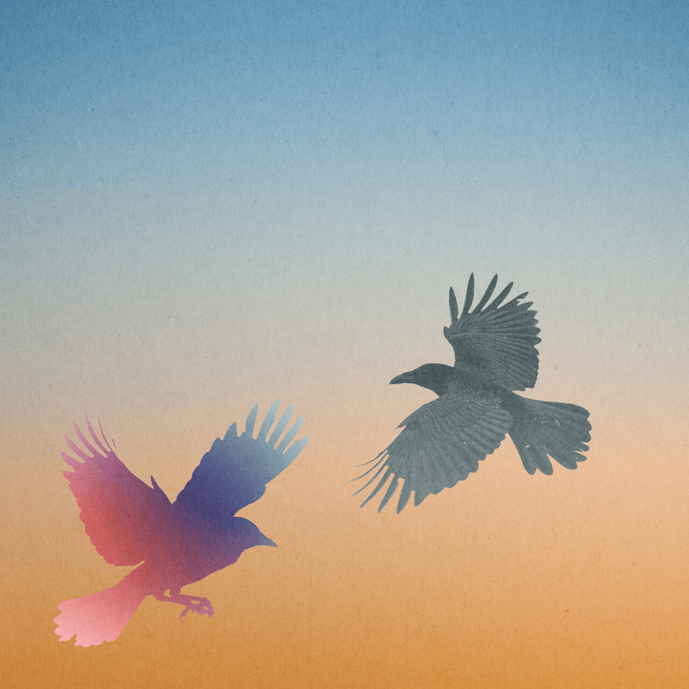 Album cover art for "Afters" by Elderbrook
