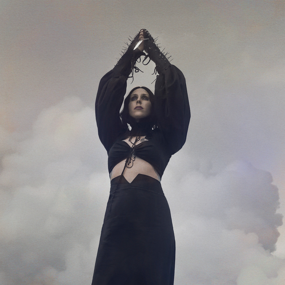 Cover image for Birth of Violence
