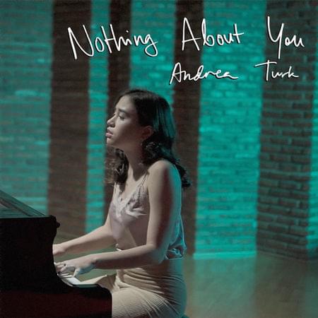 Nothing About You by Andrea Turk