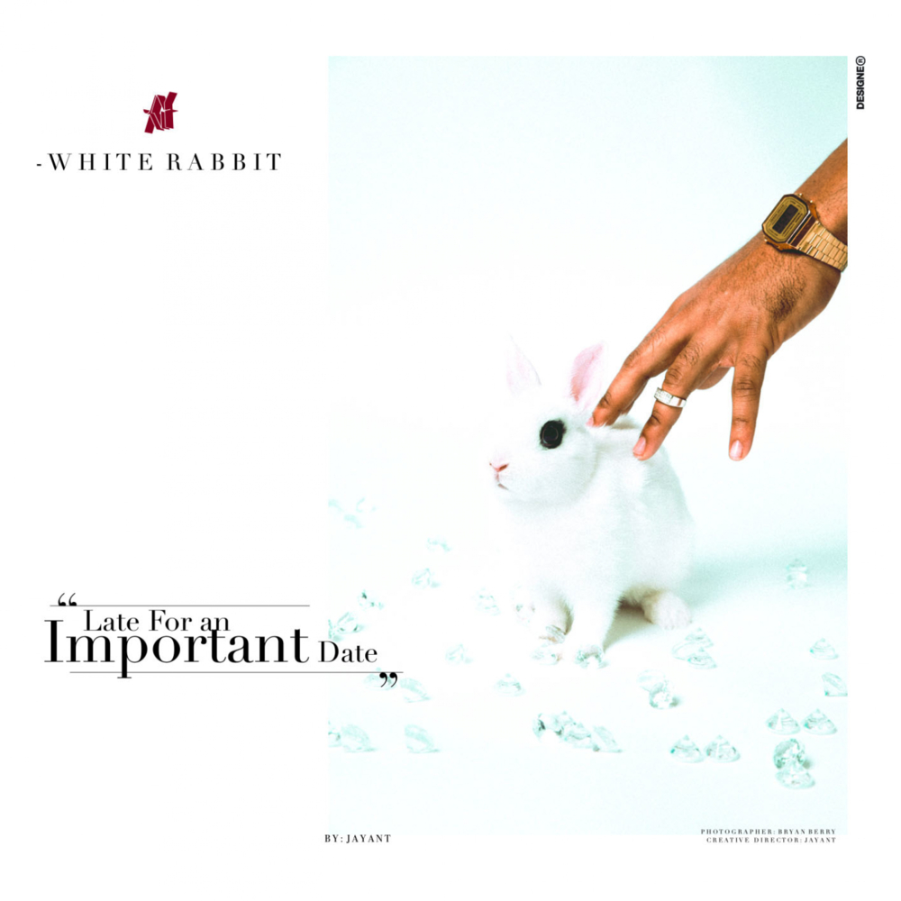 Cover image for White Rabbit