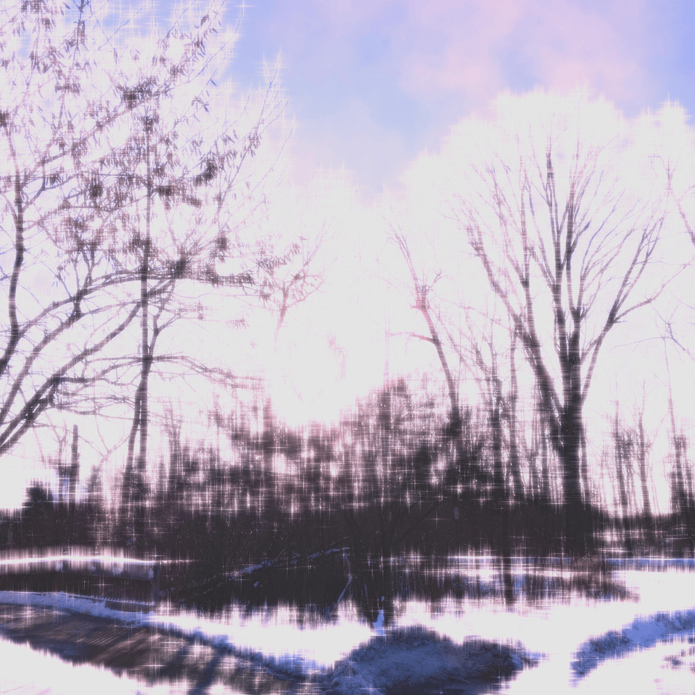 Cover image for Collection 001