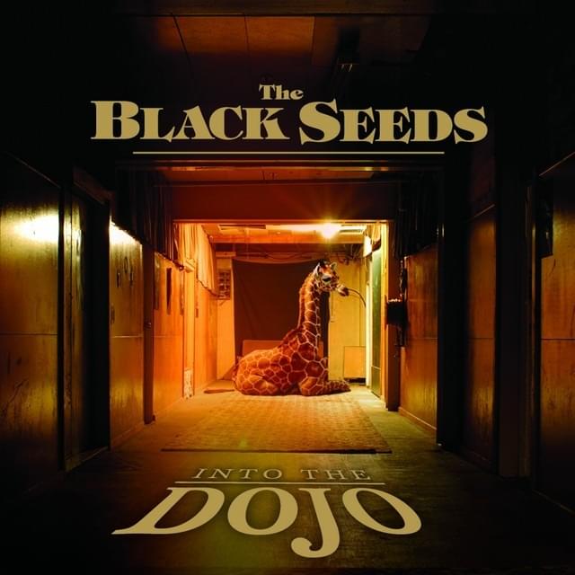 Cool Me Down by The Black Seeds