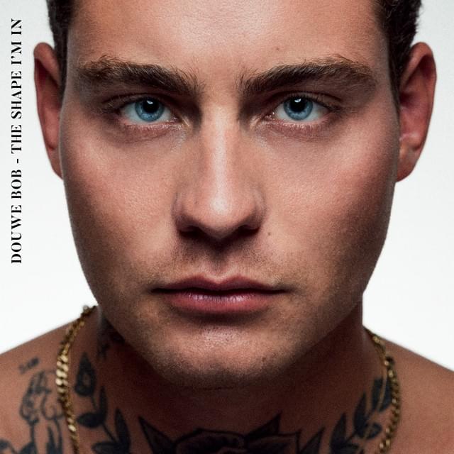 Album cover art for "Shine" by Douwe Bob