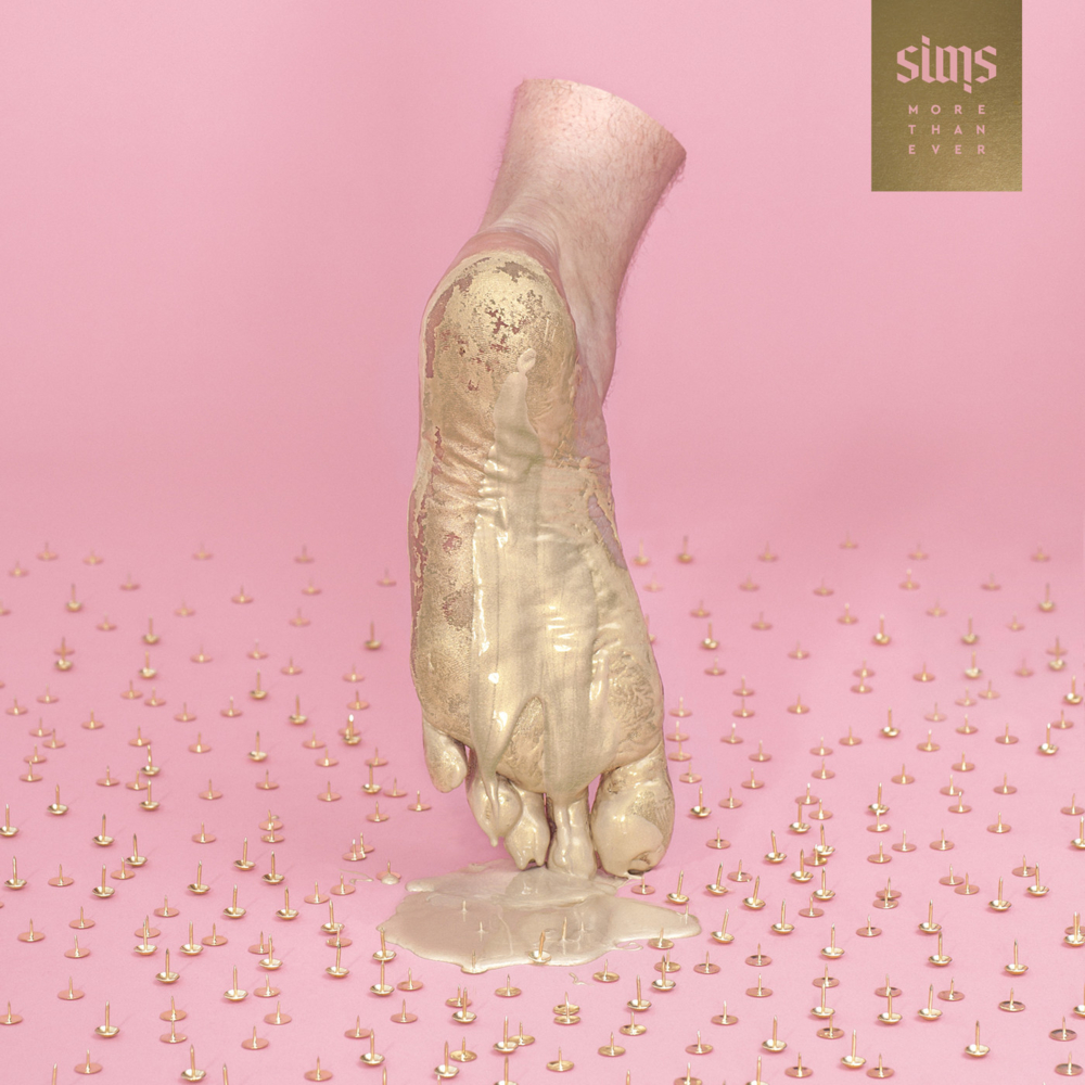 A Bad Flying Bird by Sims