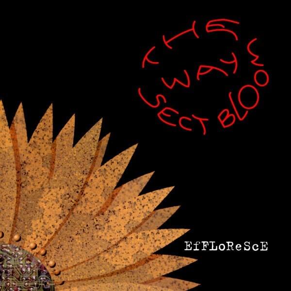 Album cover art for "Washed" by The Way Sect Bloom