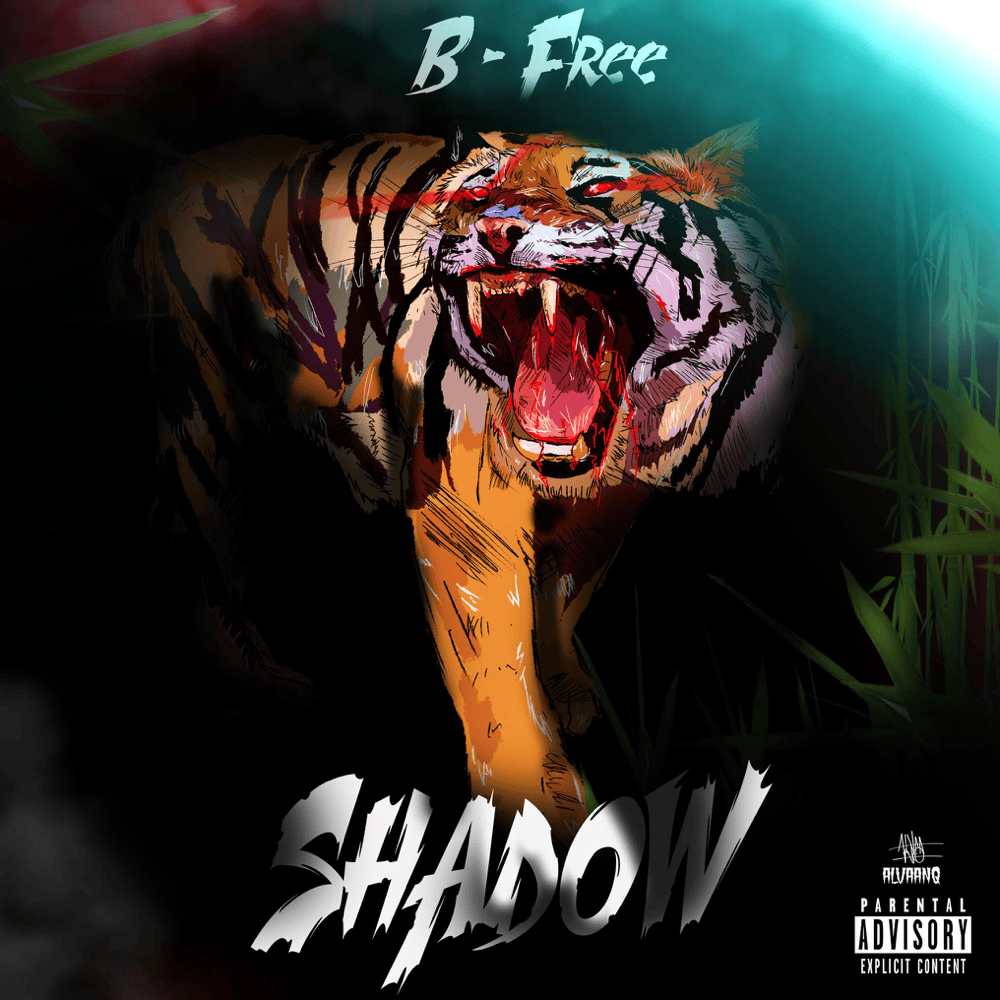 Album cover art for "Shadow" by B-Free (비프리) & CokeJazz