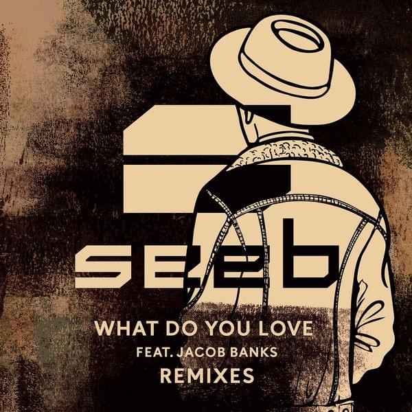 Cover image for What Do You Love (Remixes)