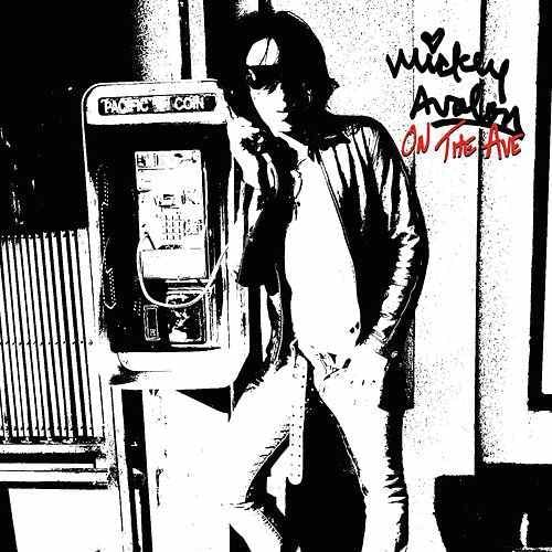 Album cover art for "More Junk" by Mickey Avalon