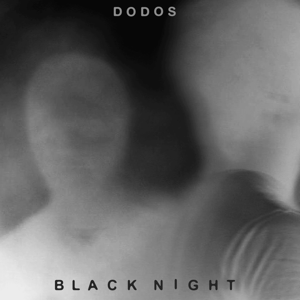 Album cover art for "Black Night" by The Dodos