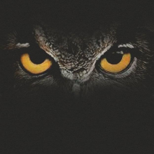 Album cover art for "Час сов (Hour of Owls)" by Horus & Зараза (Zaraza)