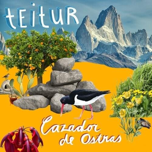 Not a Day Goes By by Teitur