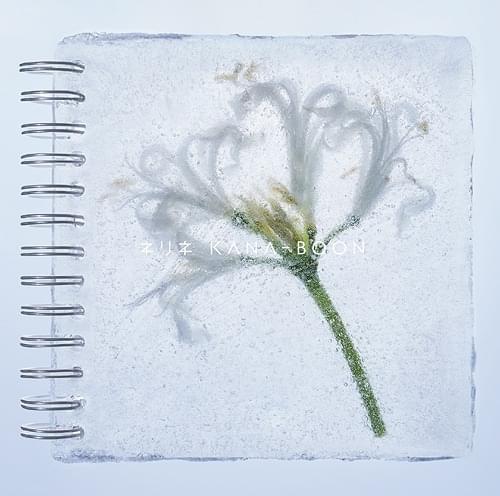 Album cover art for "ネリネ (Nerine)" by KANA-BOON