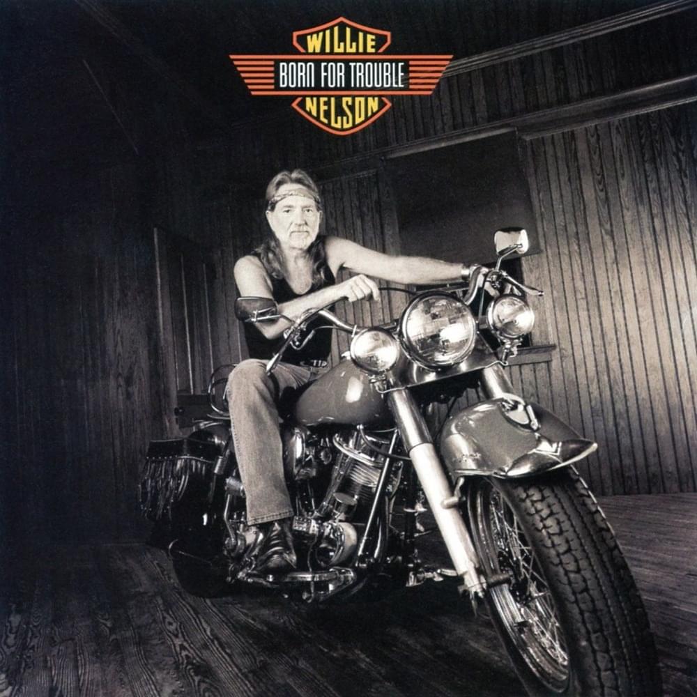 Album cover art for "Ain’t Necessarily So" by Willie Nelson