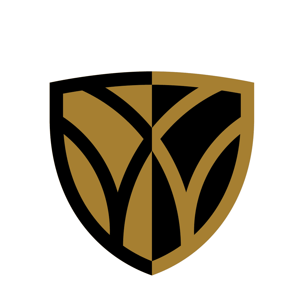 Photo of Wake Forest University