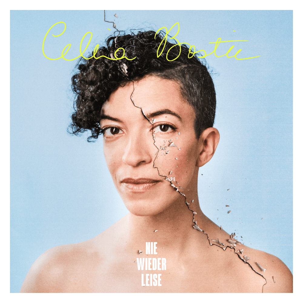 Cover image for Nie wieder leise