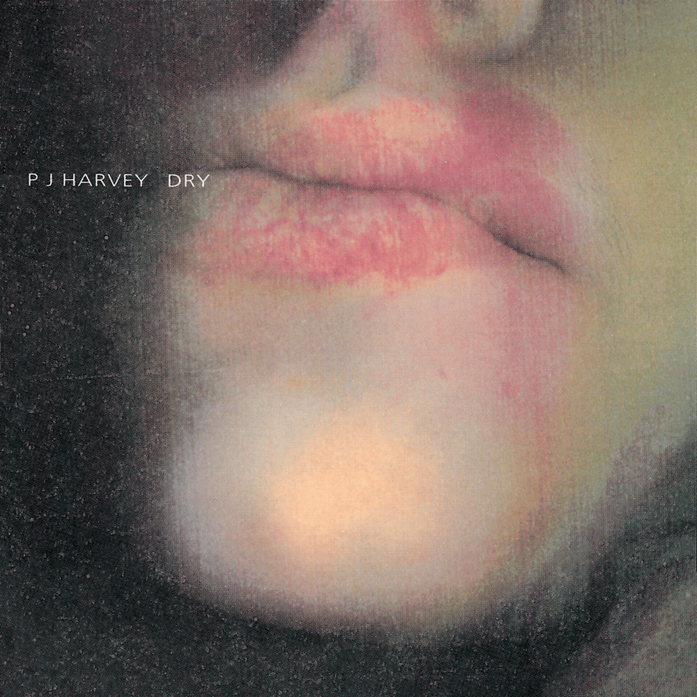 Cover image for Dry